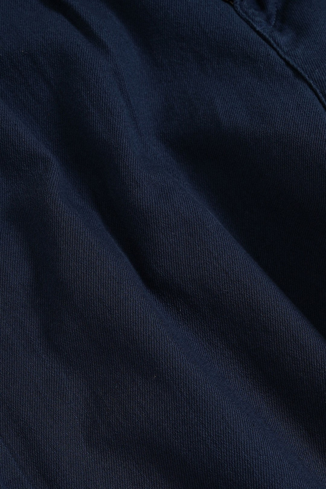 Ordinarily Pleated Pants