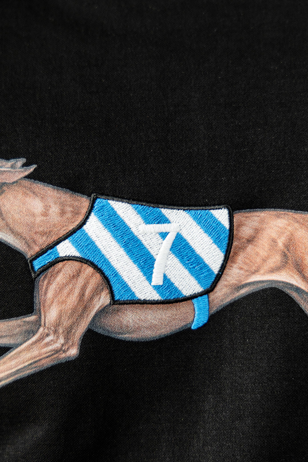 Good Boy Racing Embroidered Tee