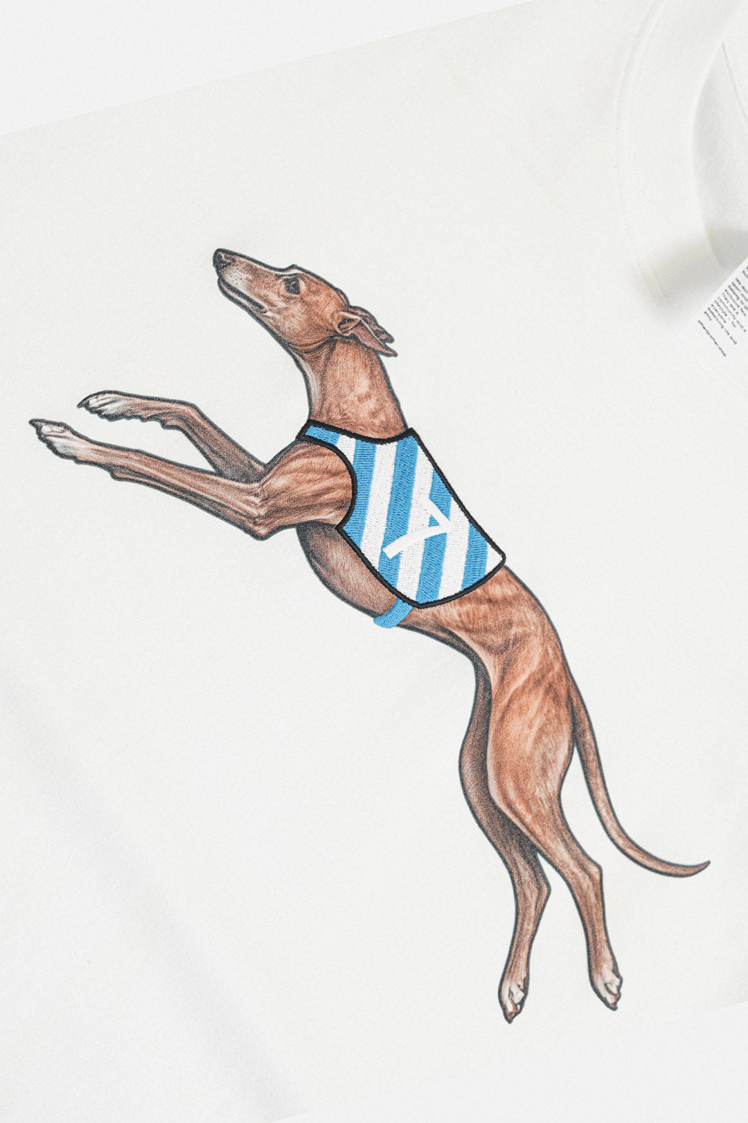 Good Boy Racing Embroidered Tee