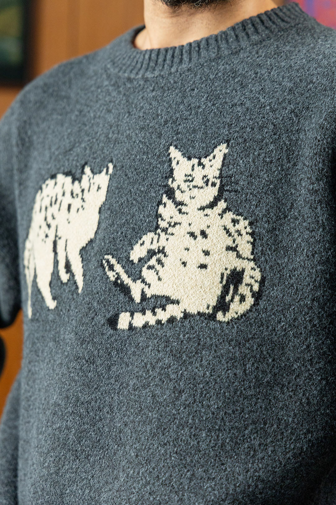 Image of Cat Fight Jumper