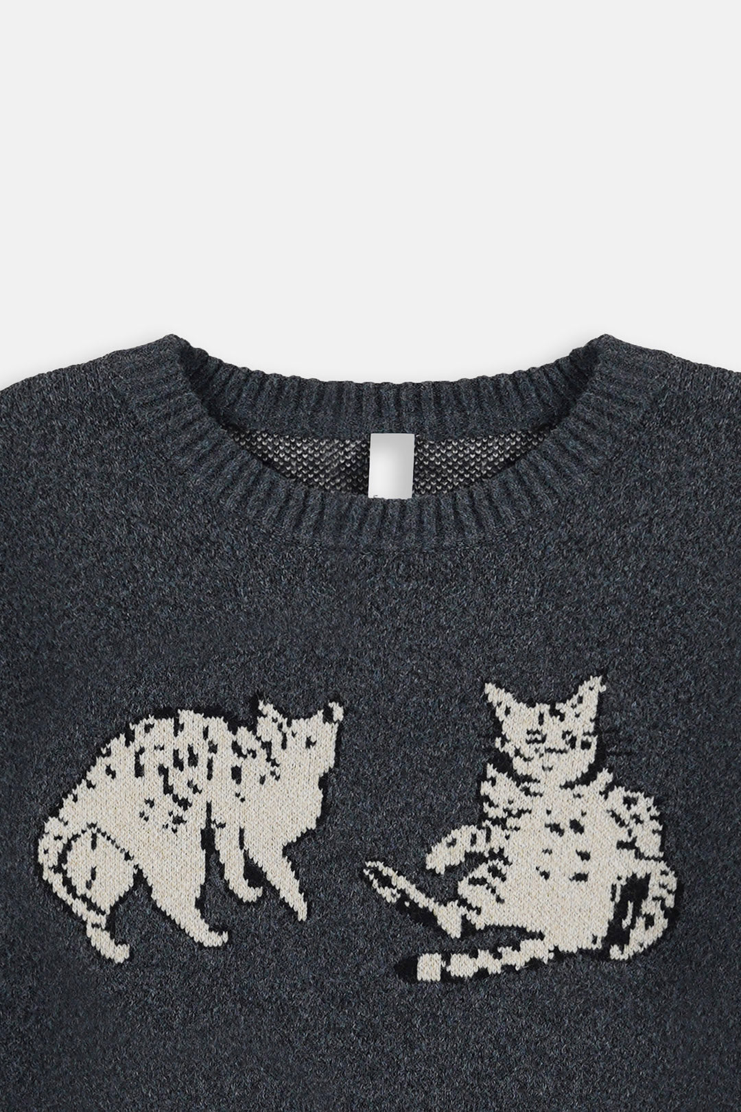 Image of Cat Fight Jumper