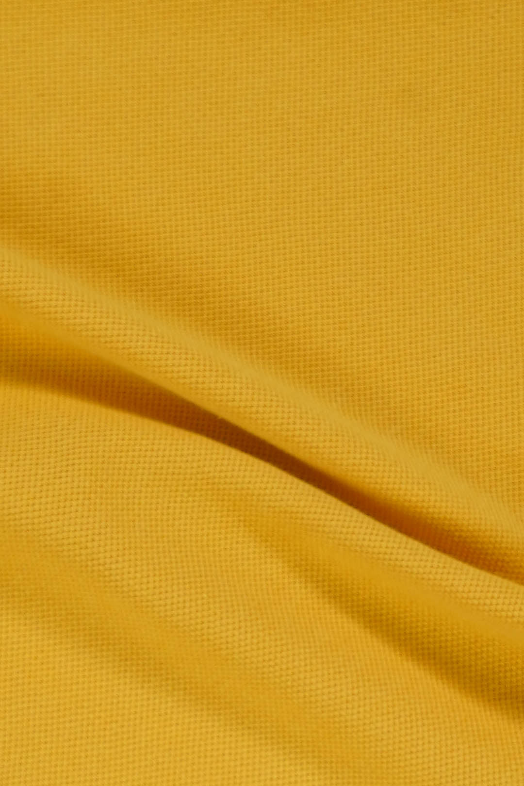 Gentleman's Polo