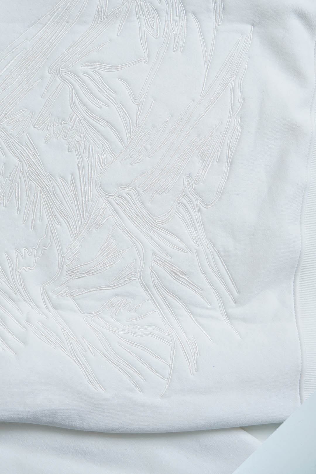 Wild Glacier Embroidered Fleece Hoodie