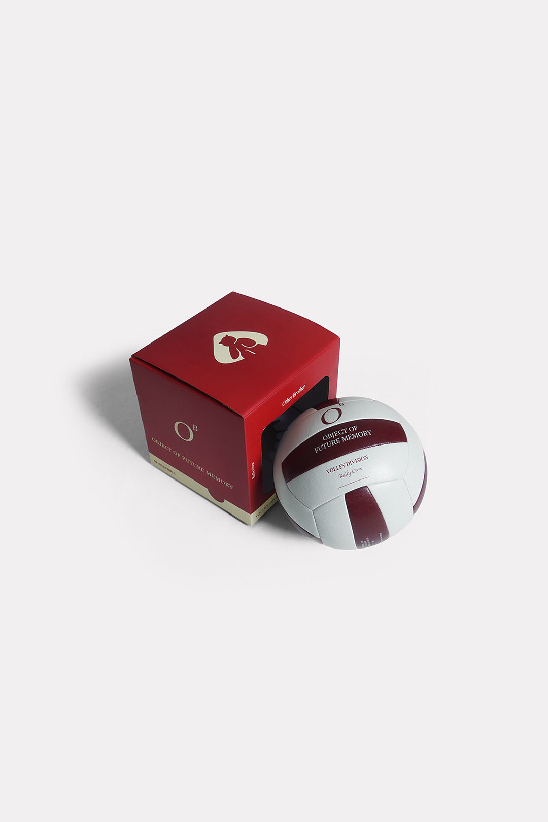 Image of Match Volleyball